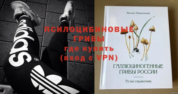 apvp Алексин