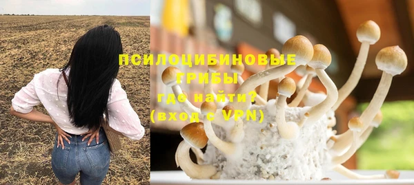 герыч Алексеевка