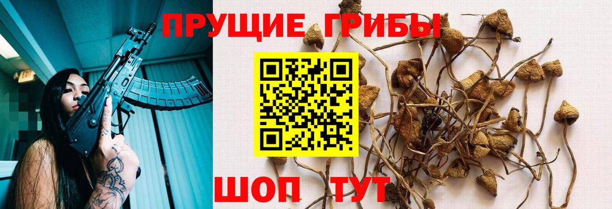 Меф мяу мяу Ипатово