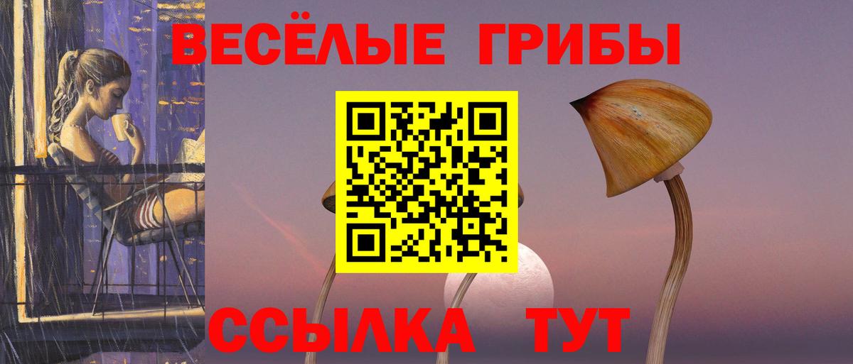 Псилоцибиновые грибы Magic Shrooms  Галлюциногенные грибы Psilocybine cubensis  Ипатово  Вход с VPN 